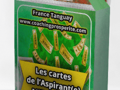 Les Cartes de l’Aspirant(e) Millionnaire