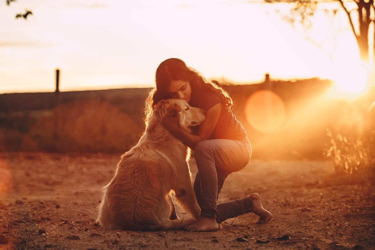 Citation Quand votre manque de douceur vous empêche d’aimer la vie !