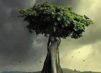 árbol-en-forma-de-mujer