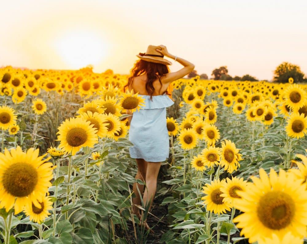 Citation L’amour est l’unique solution à votre bonheur !