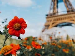 4 conseils pour se libérer d'une relation d'emprise et violente