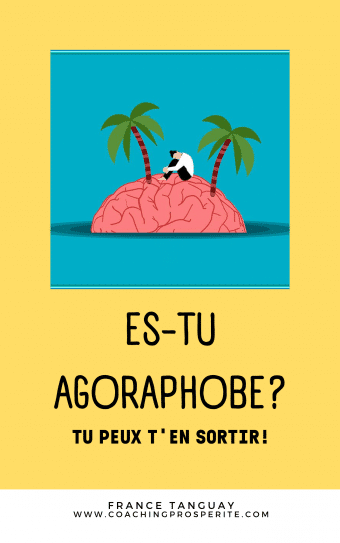 Es-tu Agoraphobe?