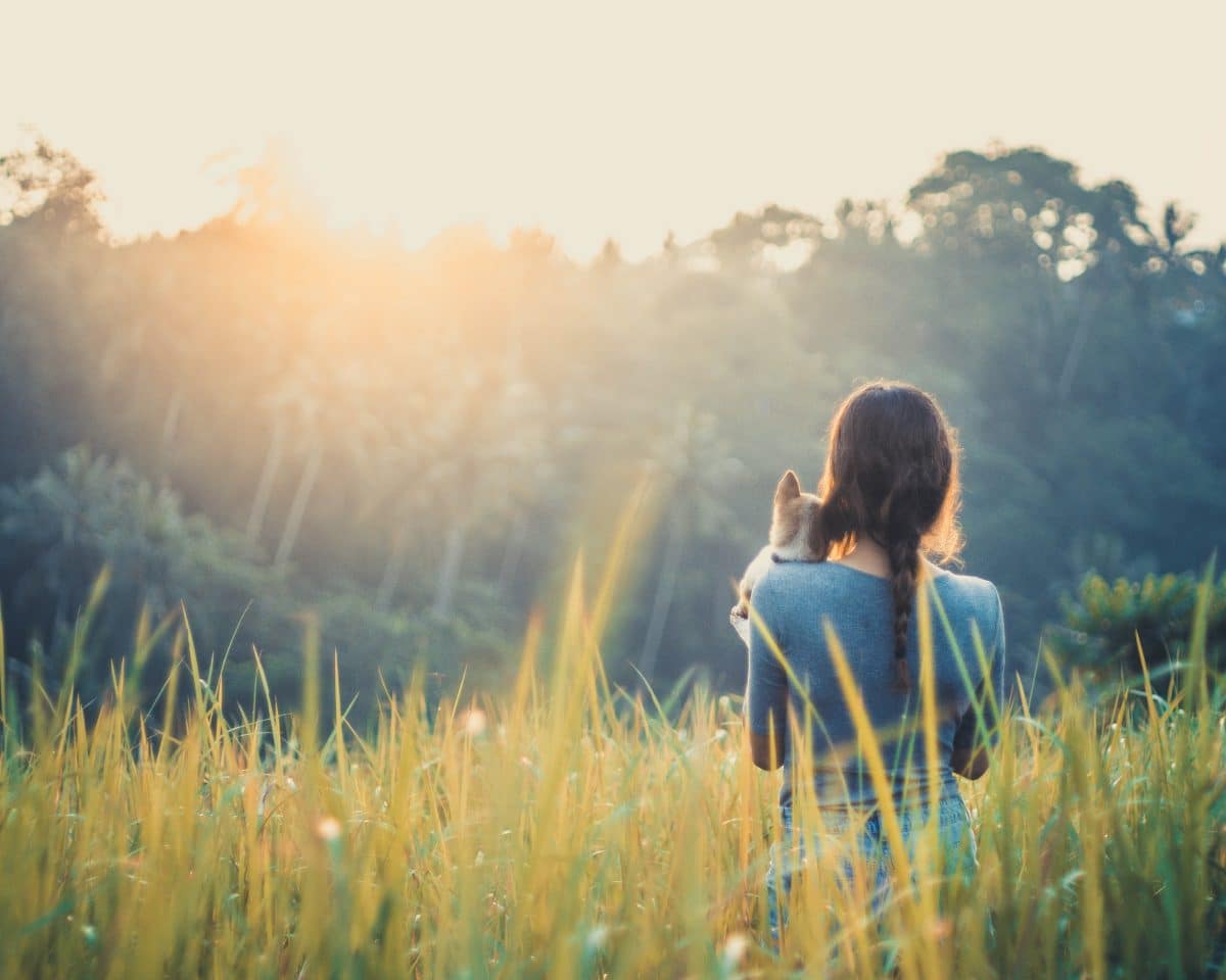 Citation Si nous avons un rêve dans notre cœur, c’est que l’univers va nous guider pour le réaliser.